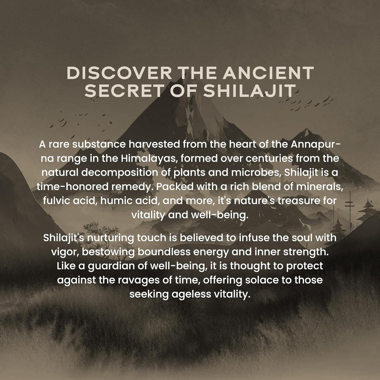 wellbeing nutrition himalayan shilajit original resin 