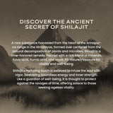 wellbeing nutrition himalayan shilajit original resin 