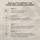 wellbeing nutrition himalayan shilajit original resin 