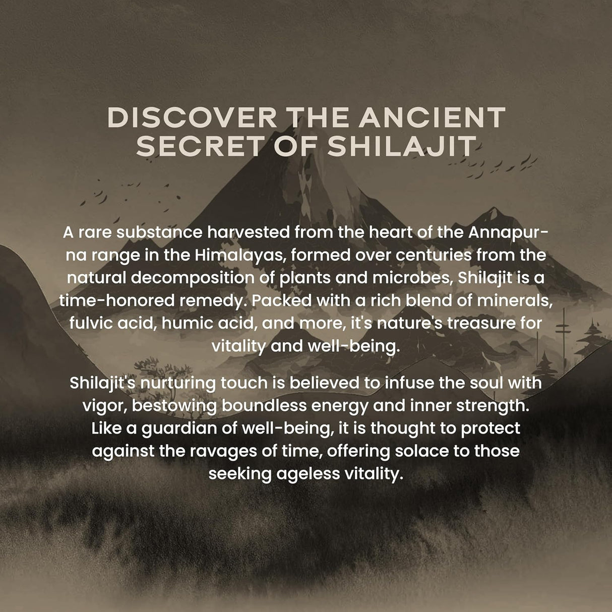 wellbeing nutrition himalayan shilajit original resin 