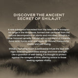 wellbeing nutrition himalayan shilajit original resin 