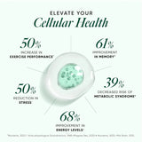 wellbeing nutrition ultra strength magnesium 2000 mg 