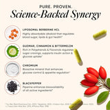 wellbeing nutrition slow liposomal berberine hcl 1100mg 