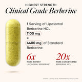 wellbeing nutrition slow liposomal berberine hcl 1100mg 