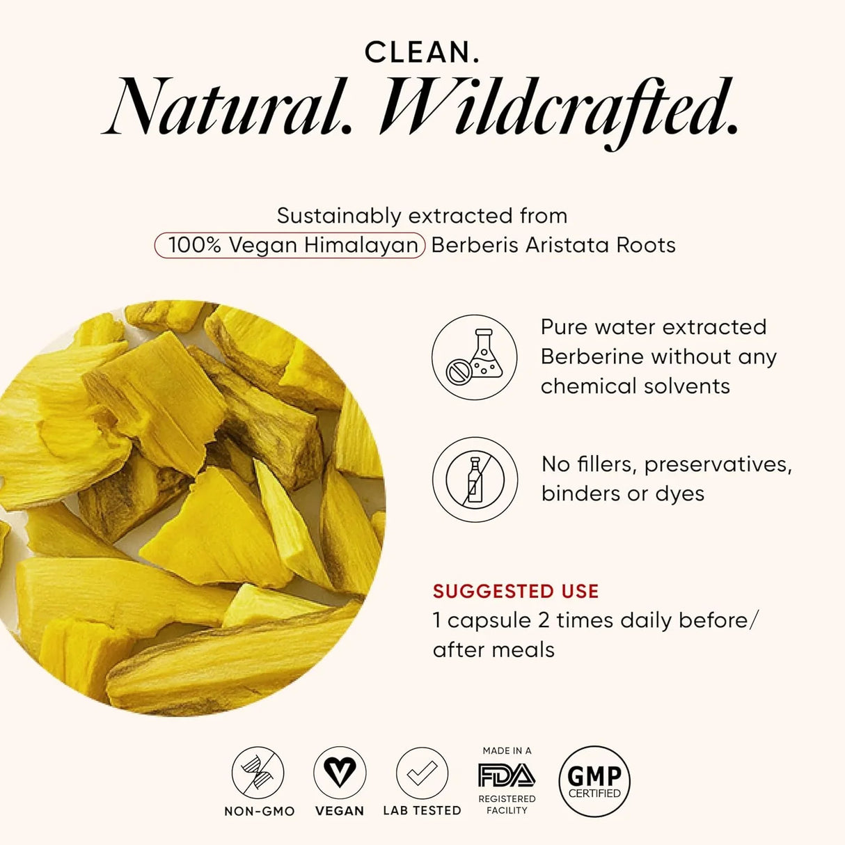 wellbeing nutrition slow liposomal berberine hcl 1100mg 