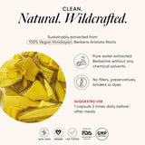 wellbeing nutrition slow liposomal berberine hcl 1100mg 