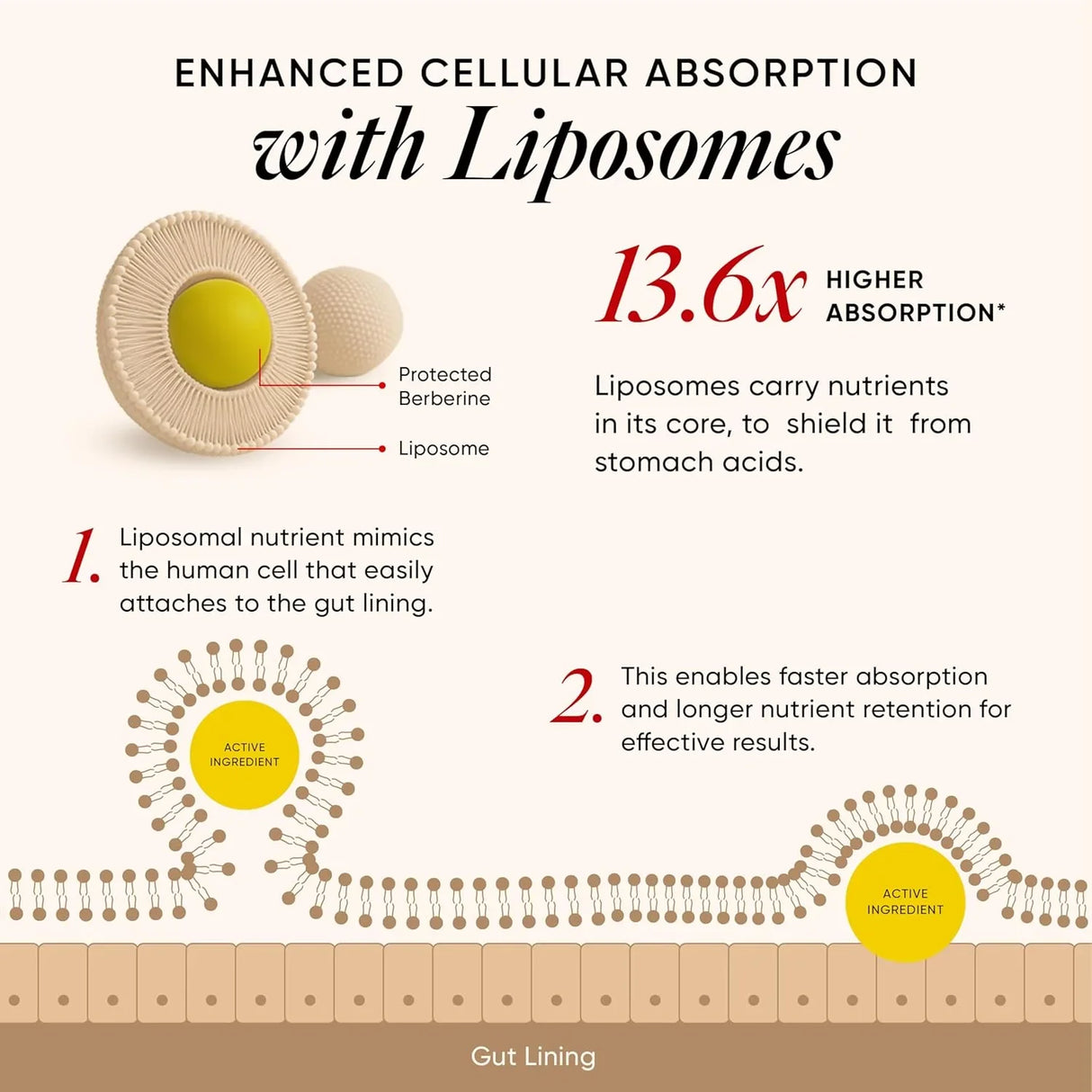 wellbeing nutrition slow liposomal berberine hcl 1100mg 