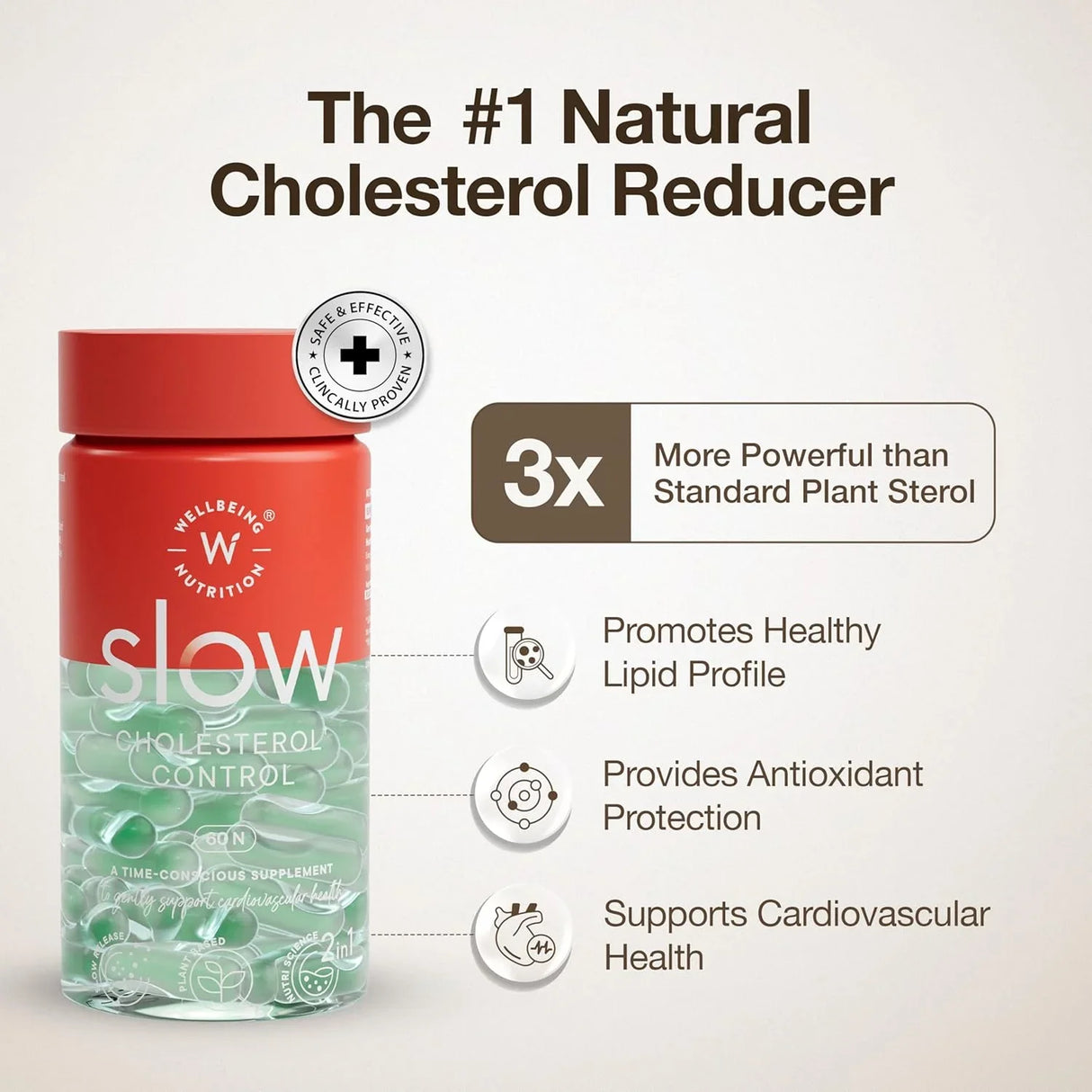 wellbeing nutrition slow cholesterol control 