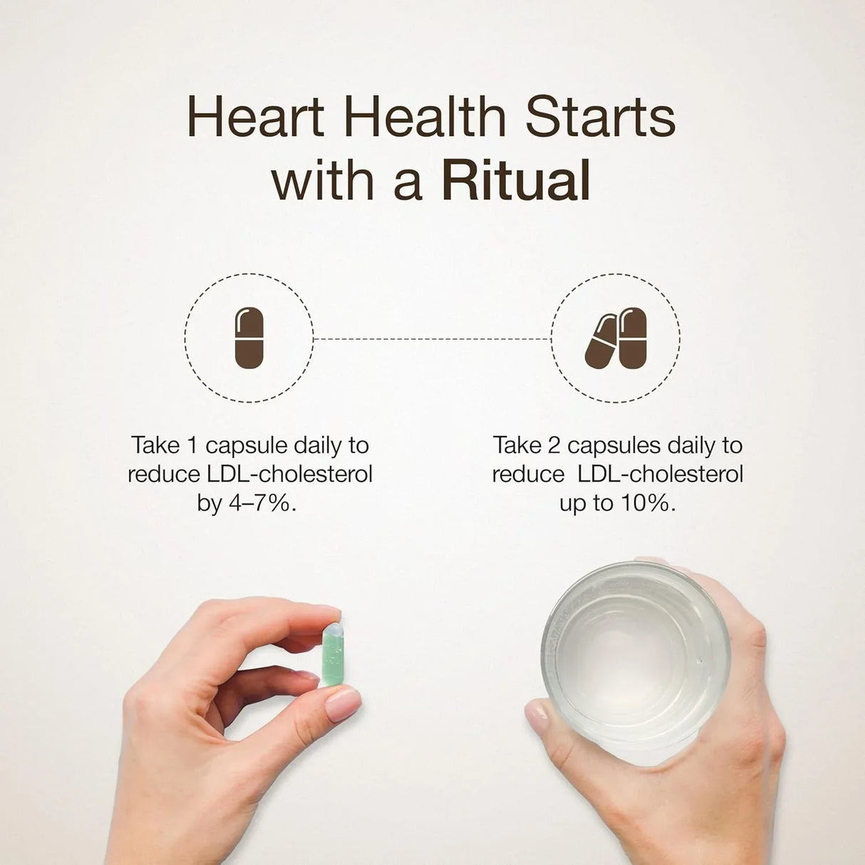 wellbeing nutrition slow cholesterol control 