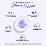 wellbeing nutrition advanced nac 