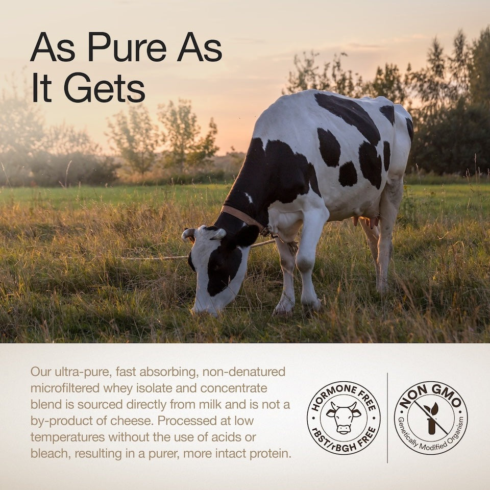 wellbeing nutrition whey protein isolate and concentrate 