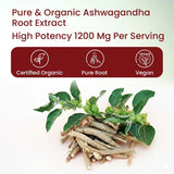 Vlado’s Himalayan Organics Ashwagandha Tablets 1200mg | Stress Relief | 60 Tabs