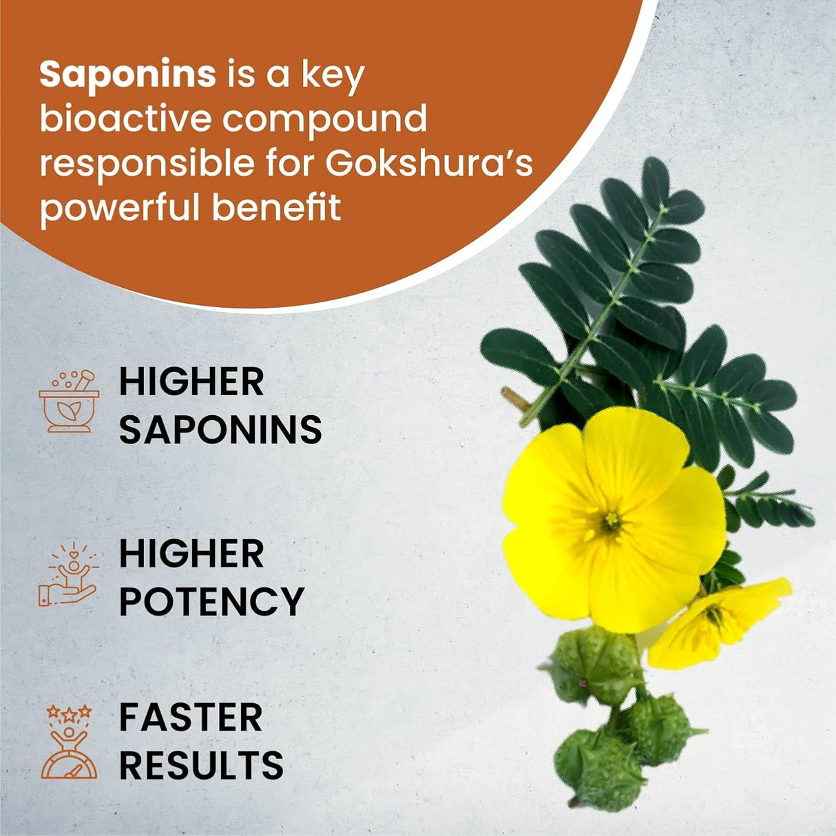 Vlado's Himalayan Organics, Gokshura (Tribulus Terrestris) Tablets 1000mg, Energy & Stamina Support - 60 Veg Tablets