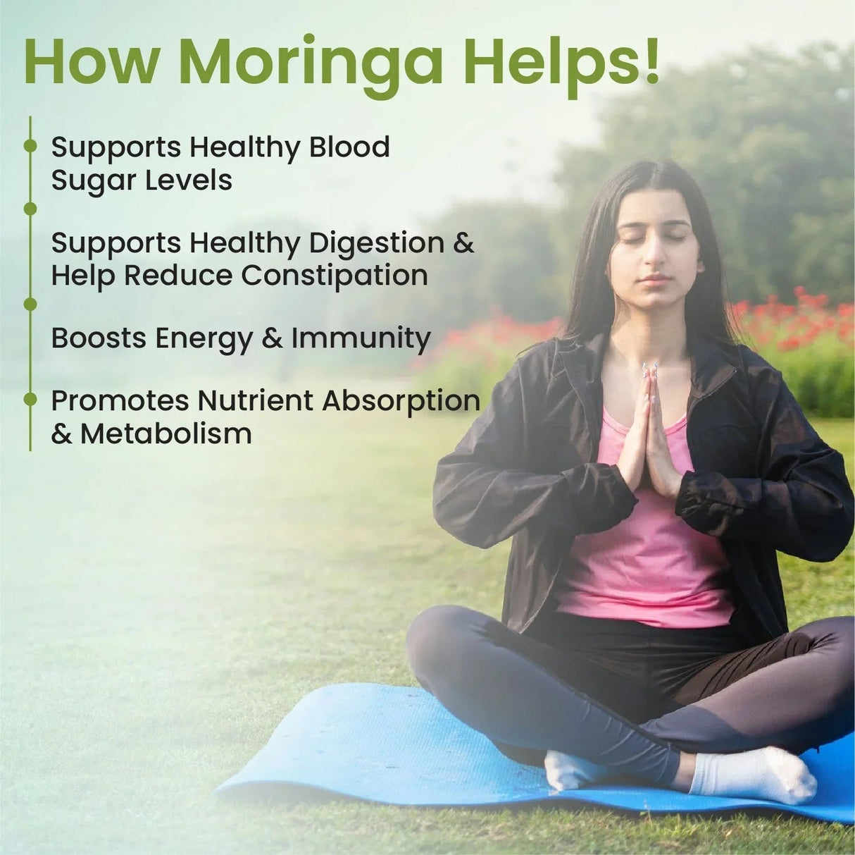 vlado’s himalayan organics moringa tablets 1200mg 