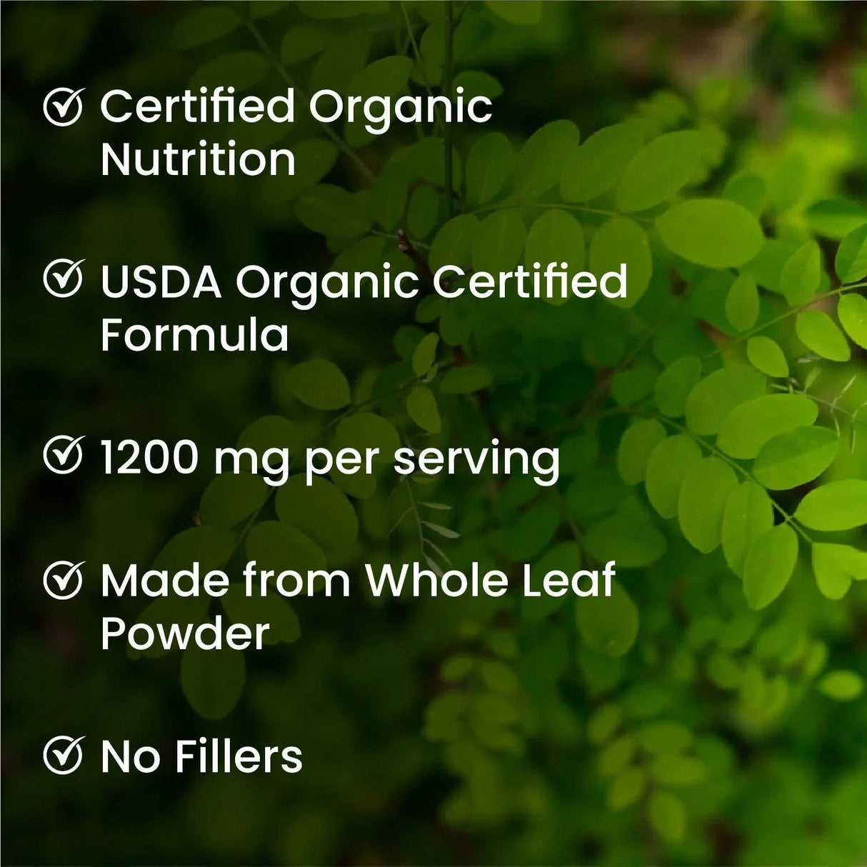vlado’s himalayan organics moringa tablets 1200mg 
