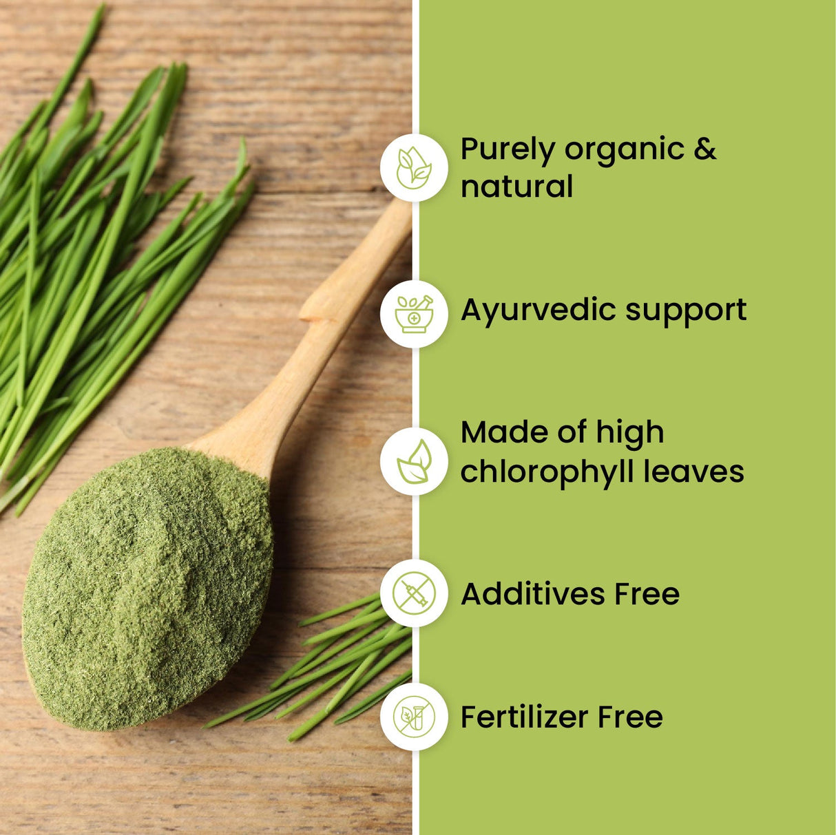 Vlado's Himalayan Organics, Wheatgrass Powder, Detox & Immunity Support - 100g