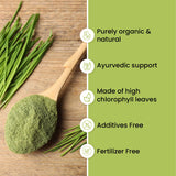 Vlado's Himalayan Organics, Wheatgrass Powder, Detox & Immunity Support - 100g