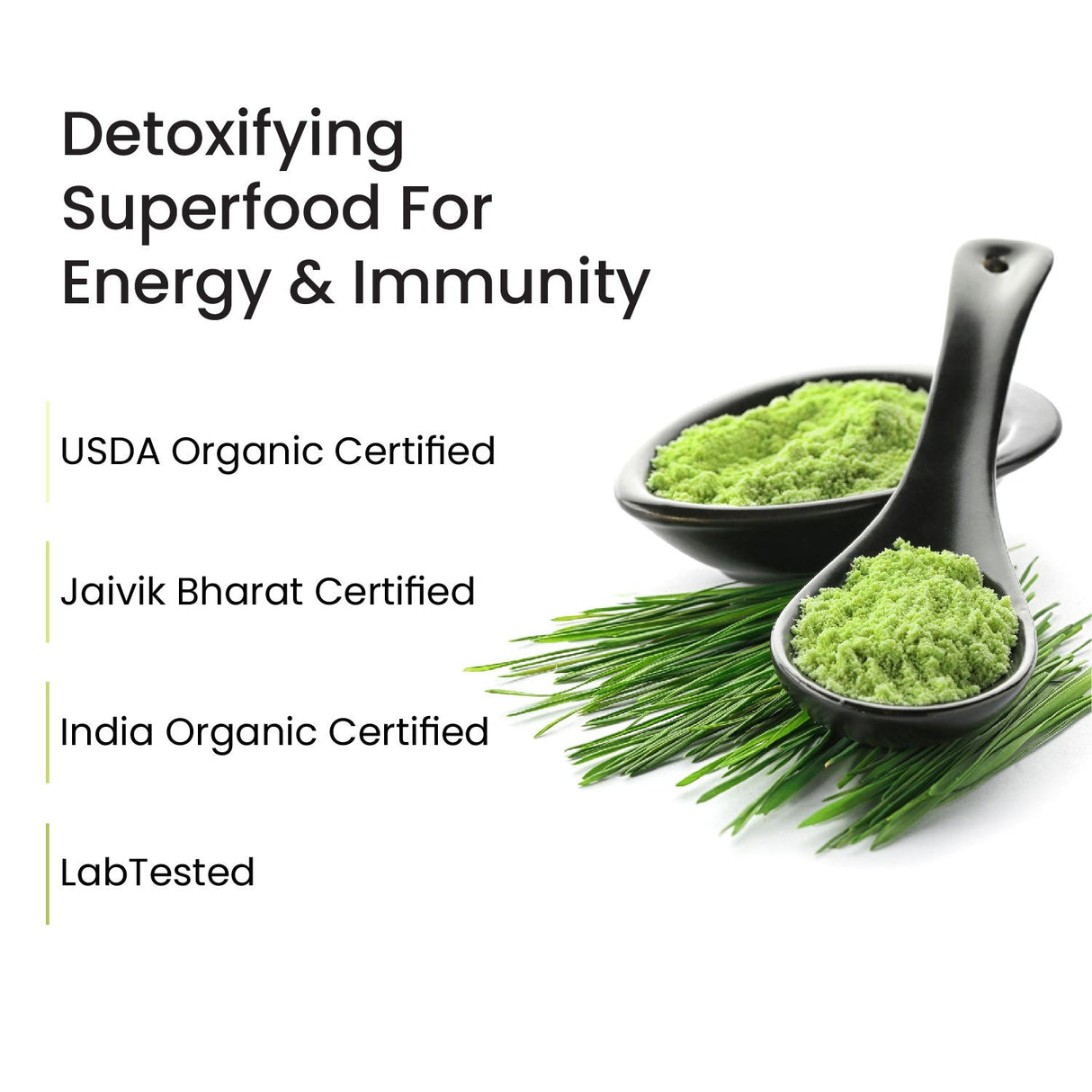 Vlado's Himalayan Organics, Wheatgrass Powder, Detox & Immunity Support - 100g