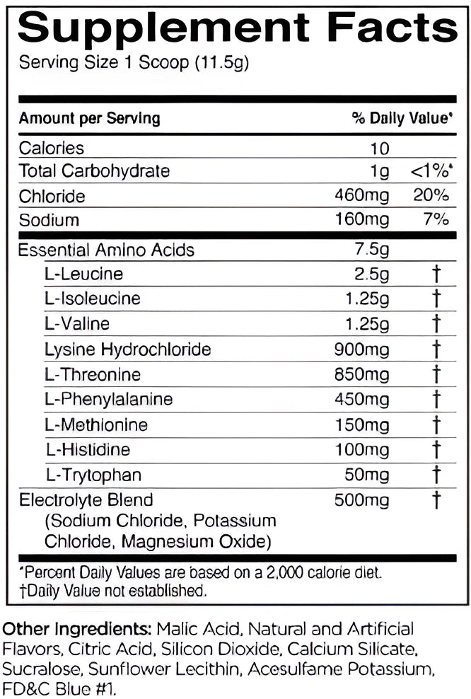 Rule 1 Essential Amino 9 Recovery & Hydration Support - 30 Servings