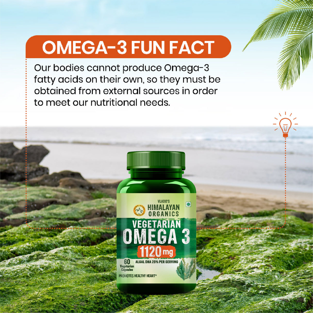 Vlado's Himalayan Organics, Vegan Omega 3, DHA 1120mg - 60 Veg Capsules