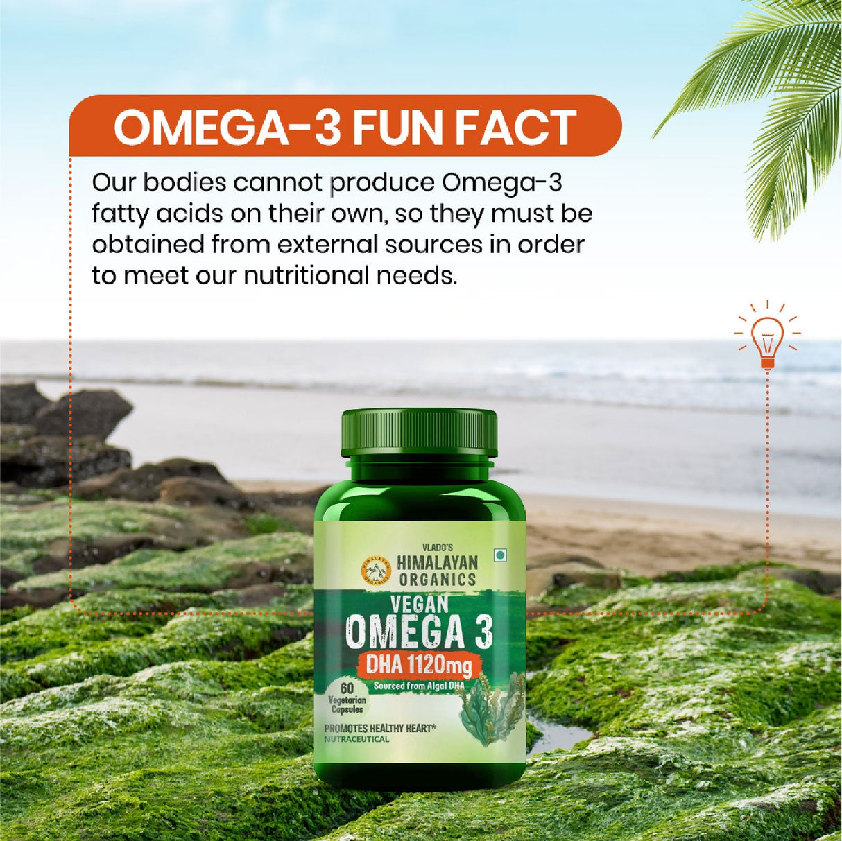 Himalayan Organics, Vegan Omega 3, 1120mg 