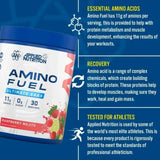 Applied Nutrition Amino Fuel Ultimate EAAs Powder | 390g (30 Servings)
