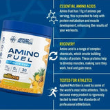 Applied Nutrition Amino Fuel Ultimate EAAs Powder | 390g (30 Servings)