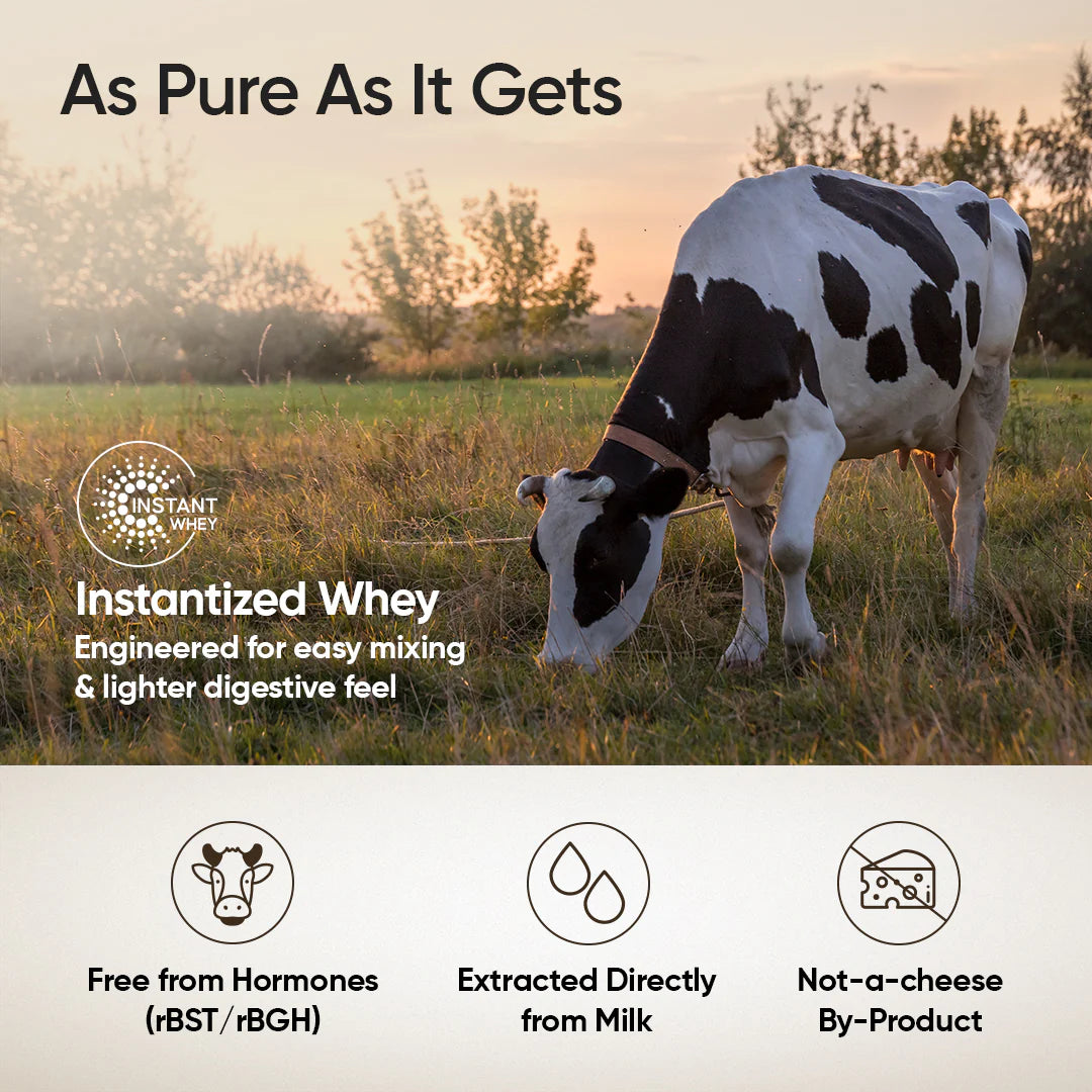 Wellbeing Nutrition Whey Protein Isolate & Concentrate | 24g Protein, Clinically Proven Velositol 2x Muscle Protein Synthesis, 4B CFU Probiotics | 1 Kg
