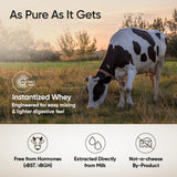 Wellbeing Nutrition Whey Protein Isolate & Concentrate | 24g Protein, Clinically Proven Velositol 2x Muscle Protein Synthesis, 4B CFU Probiotics | 1 Kg
