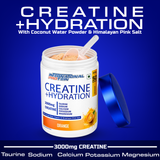 International Protein Creatine + Hydration 300g - 50 Servings