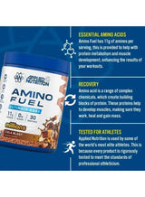 Applied Nutrition Amino Fuel Ultimate EAAs Powder | 390g (30 Servings)