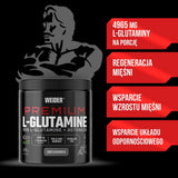 Weider L-Glutamine Powder | 400g (80 Servings)